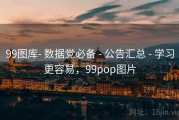 99图库- 数据党必备 - 公告汇总 - 学习更容易，99pop图片