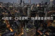 49图库：口径说明：快速速查说明页